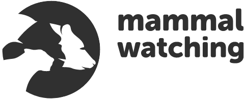 Mammal Watching logo