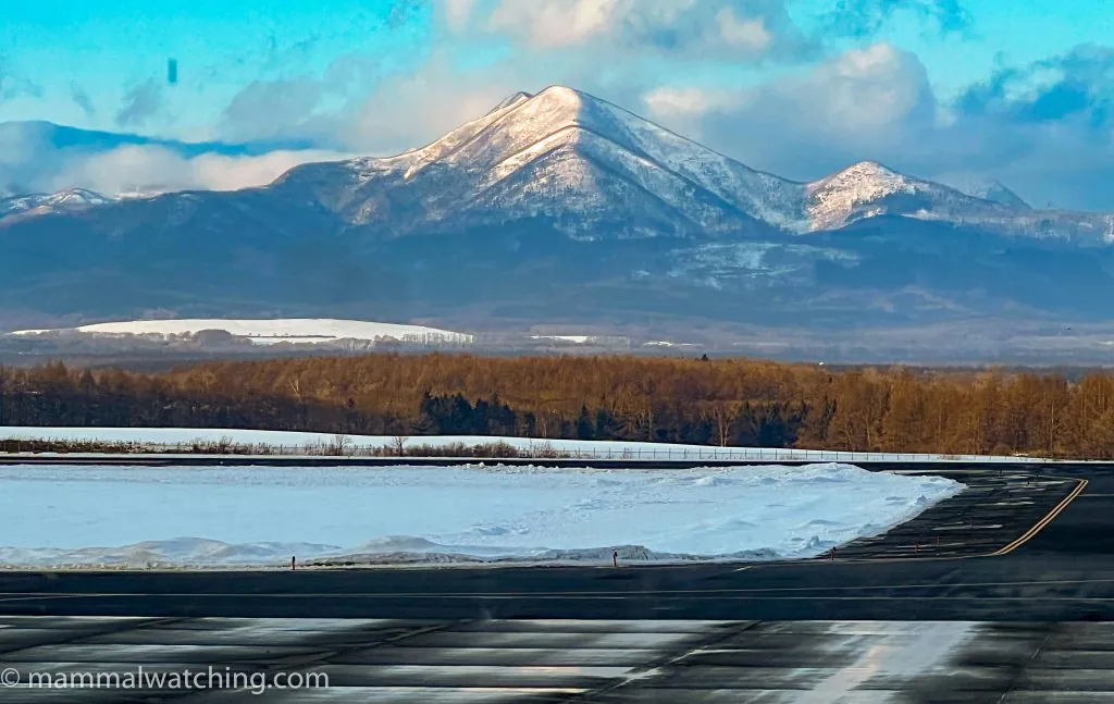 Nakashibetsu Airport